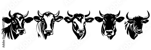 Cow silhouettes set, large pack of vector silhouette design, isolated white background