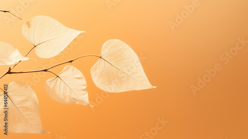 A Beautiful white skeletal leaves on a light orange background with circular bokeh. Art images that express the beauty and purity of nature.