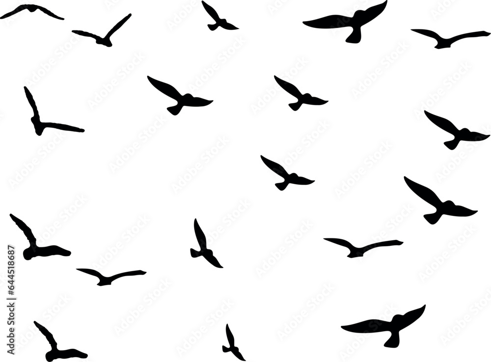 birds in flight birds in flight
