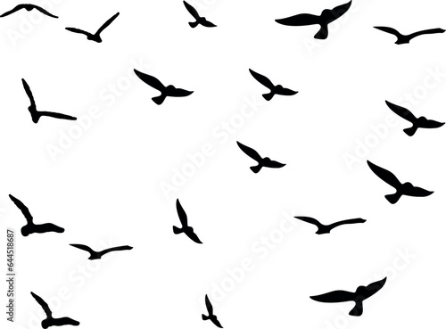 birds in flight  © Suvankor