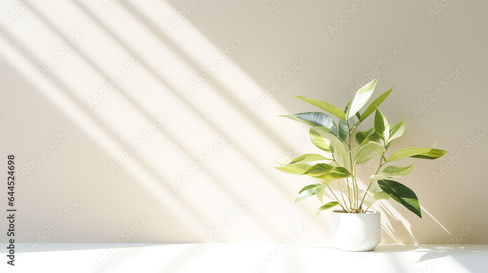 A Minimalistic light Background with blurred foliage shadow on a white wall. Beautiful background for presentation with with smooth floor.