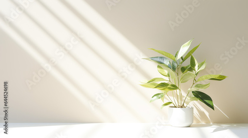 A Minimalistic light Background with blurred foliage shadow on a white wall. Beautiful background for presentation with with smooth floor.