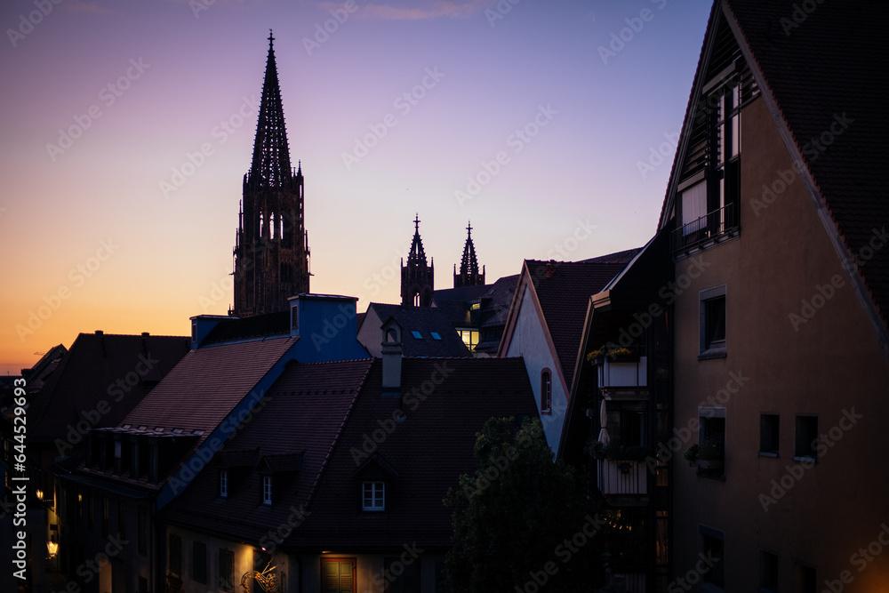 Freiburger Münster in Sommernacht