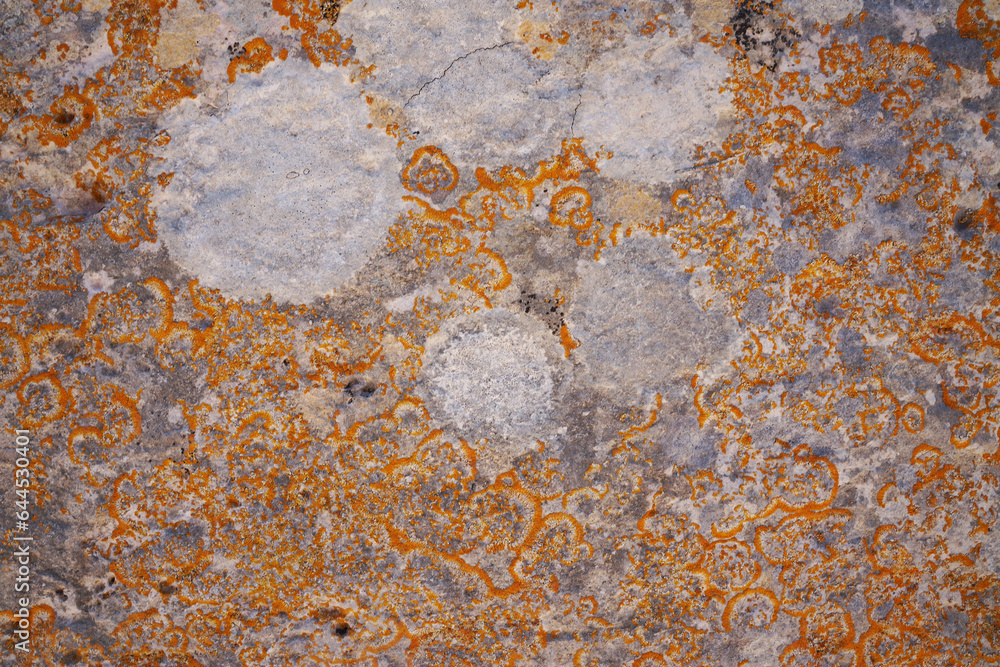 Grunge wall texture. Grunge background. Wall fragment with scratches and cracks Grunge wall texture. Grunge background. Wall fragment with scratches and cracks