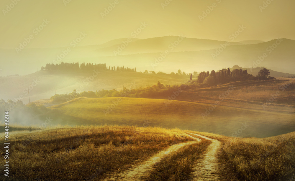 Fototapeta premium Autumn Italian rural landscape in retro style; Panorama of autumn field with dirt road and cloudy sky.