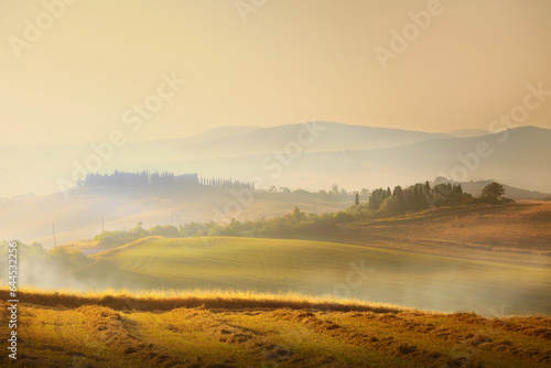 Impressive panorama Italian landscape, view with cypress trees, vineyards and farmer's fields. Tuscany, Italy