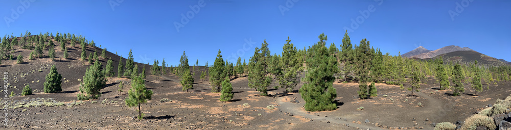 beautiful panoramic landscape with view of Teide volcano, Canary Islands, Tenerife
