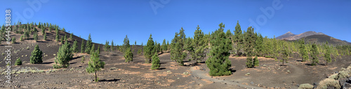 beautiful panoramic landscape with view of Teide volcano  Canary Islands  Tenerife