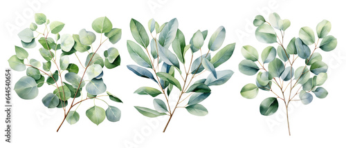 Watercolor eucalyptus branch set. Floristic design elements. AI Generative 