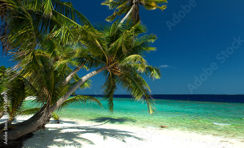 Fototapeta Naklejka Na Ścianę i Meble -  untouched tropical beach
