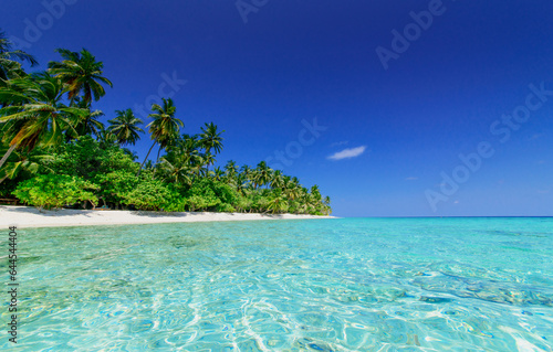 Tropical Island on the Maldives © Loocid GmbH