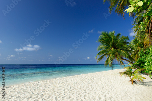 Fototapeta Naklejka Na Ścianę i Meble -  Tropical beach on the Maldives