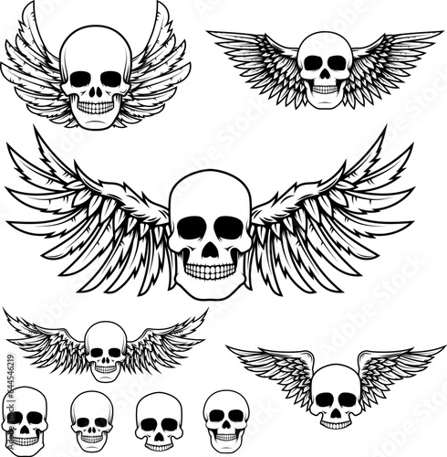 Set of the winged skulls.  Design element for t-shirt print, poster, sticker.