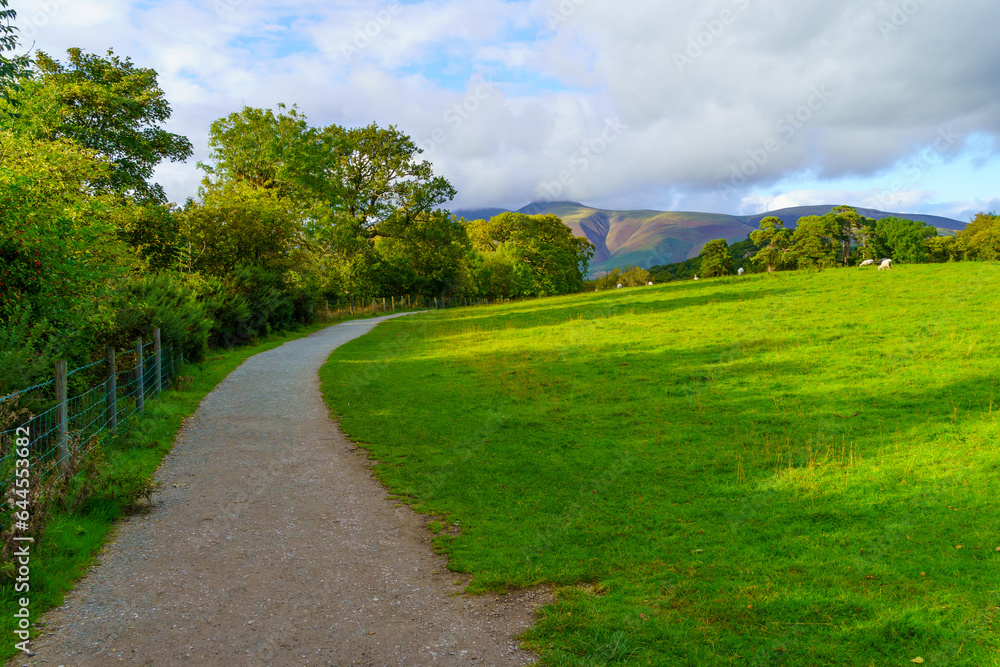 Footpath, trees, grass, sheep, and mountains, Lake District