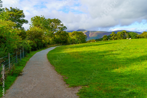 Footpath, trees, grass, sheep, and mountains, Lake District