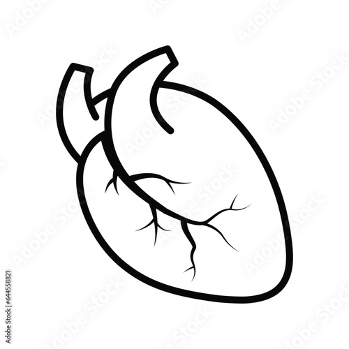 Human heart icon vector on trendy design