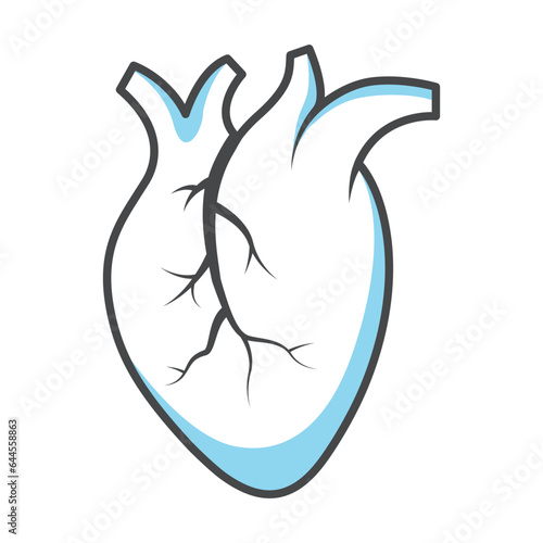 Human heart icon vector on trendy design