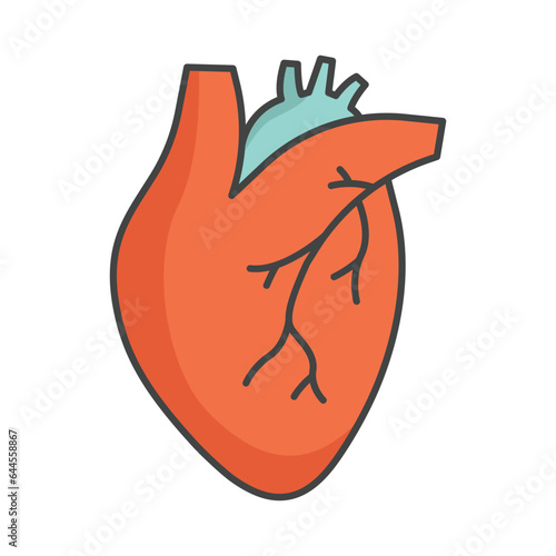 Human heart icon vector on trendy design