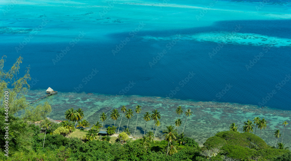 Bora Bora, Blue Lagoon with Bungalow, Palm Trees and Beach from TV Tower Lookout
