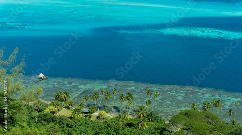 Bora Bora, Blue Lagoon with Bungalow, Palm Trees and Beach from TV Tower Lookout