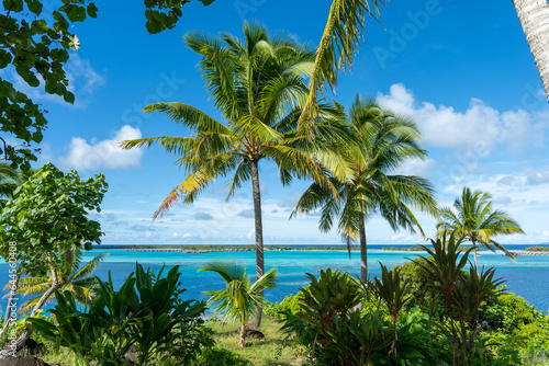 Bora Bora, Palms at Fiti'u'u Point with blue Lagoon in Background