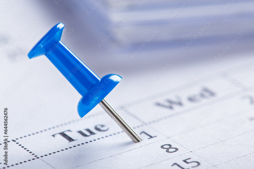 Important date and calendar appointment. pin on calendar.