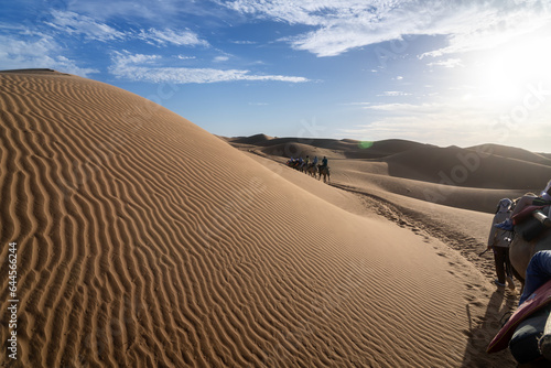 sand dunes in the desert