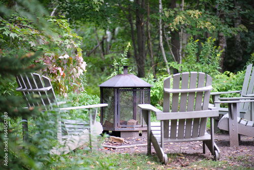 Fuego de acampada en la montaña en medio del bosque