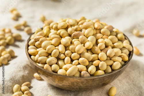 Organic Yellow Mayacoba Beans