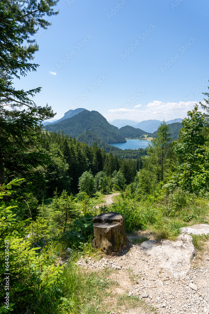 Scheffauer, Austria, Hiking Trail in Alps near Kufstein
