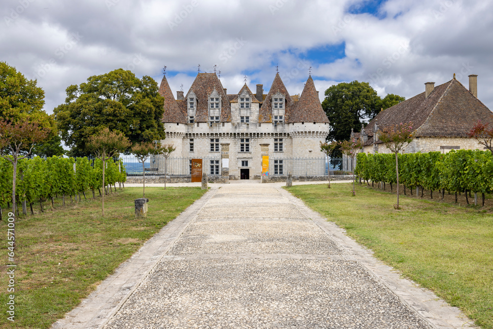 Monbazillac castle (Chateau de Monbazillac) with vineyard, Dordogne department, Aquitaine, France