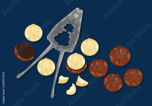 Set with delicious fresh macadamia nuts and crackers. organic food healthy food isolated on dark background top view concept Vector illustration. Easy fix.
