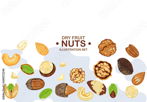 Organic food vector illustration on white background, framed with nuts, pecan, walnut, macadamias, hazelnut, brazil nuts, peanuts, almonds, cashews, pistachios, and text samples.