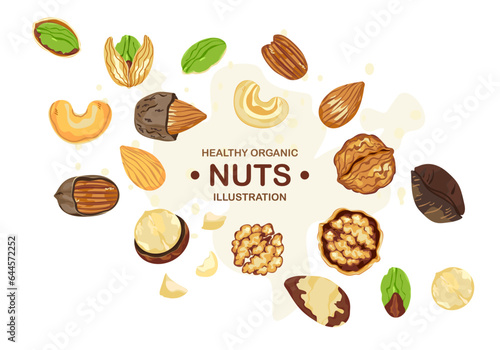Organic food vector illustration on white background, framed with nuts, pecan, walnut, macadamias, hazelnut, brazil nuts, peanuts, almonds, cashews, pistachios, and text samples.