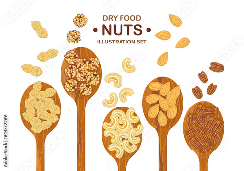 Mix organic nuts with cashews, almond nuts, and pecan nuts in a lined wooden spoon. The top view isolated on a white background icon vector illustration for the poster easy to fix