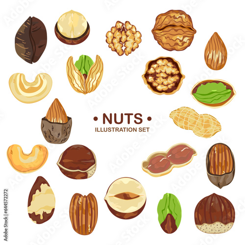 Organic food vector illustration on white background, framed with nuts, pecan, walnut, macadamias, hazelnut, brazil nuts, peanuts, almonds, cashews, pistachios, and text samples.