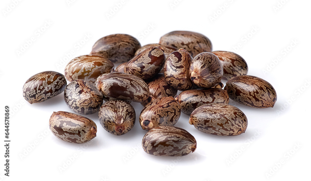 Castor seeds on white background Castor seeds on white background