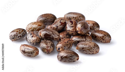 Castor seeds on white background photo