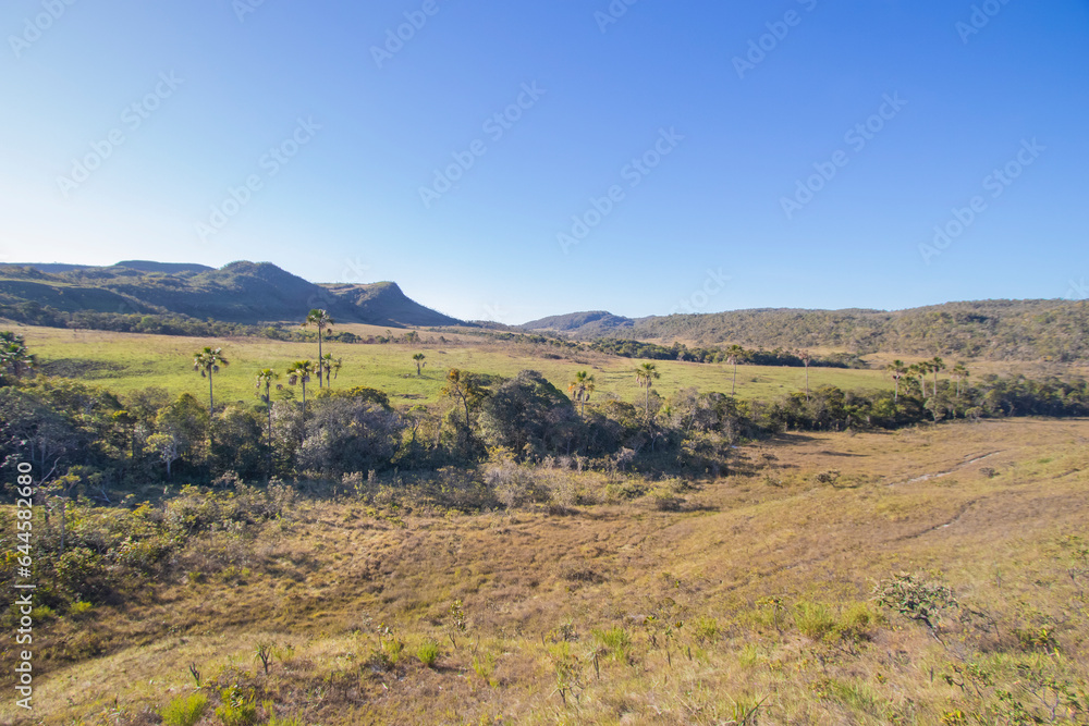 Beautiful Savannah Landscape in center of Brazil. Beautiful Savannah Landscape in center of Brazil.
