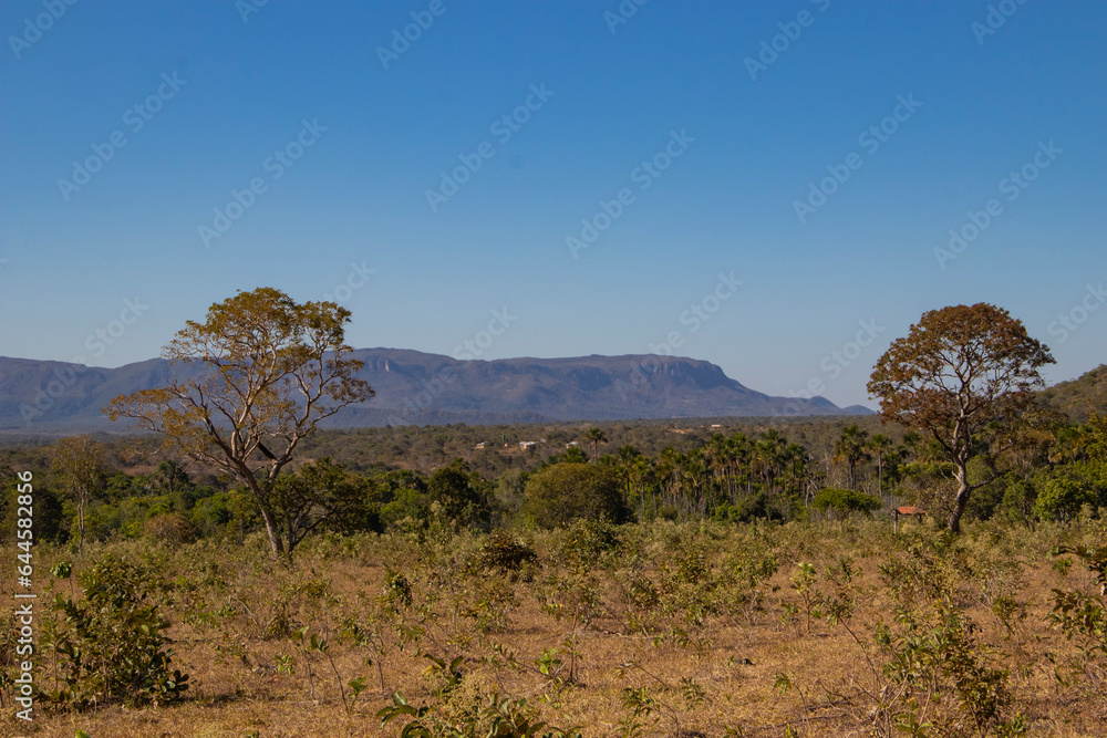 Beautiful Savannah Landscape in center of Brazil.