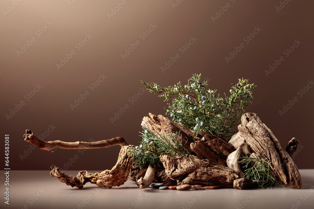 Abstract nature scene with a composition of juniper and dry snags. Abstract nature scene with a composition of juniper and dry snags.