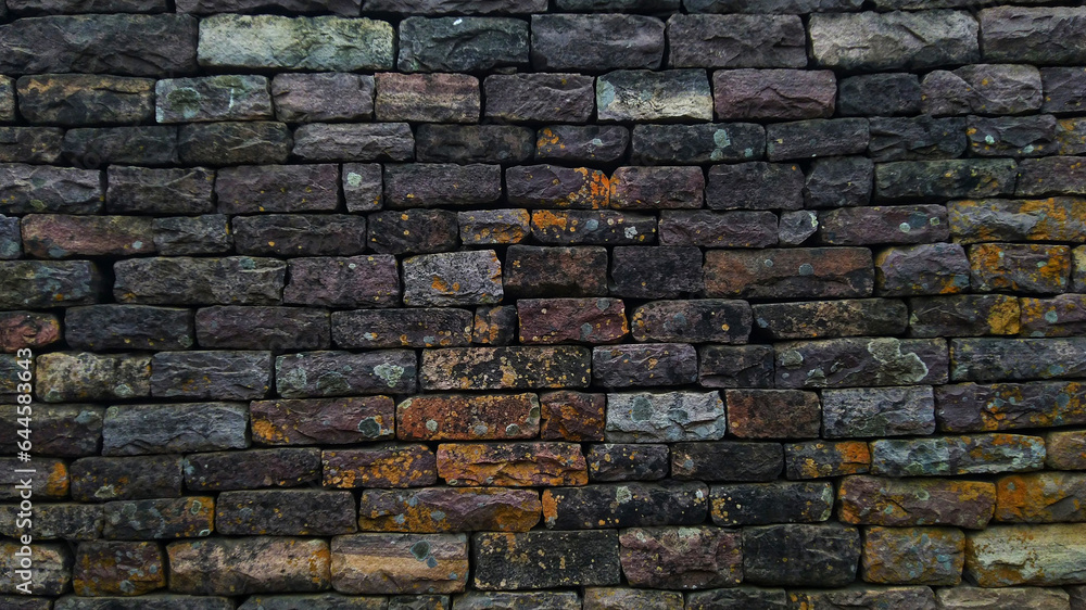Fototapeta premium Black Brick Texture