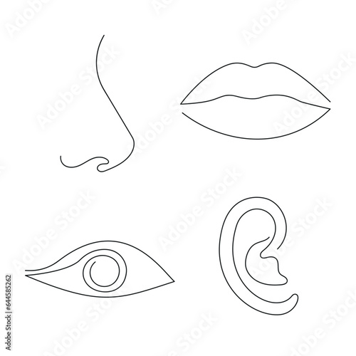 Parts of the face (eye, lips, nose, ear) drawn in one continuous line. One line drawing, minimalism. Vector illustration.