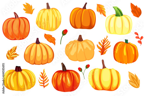  Set of different pumpkins  autumn season  autumn leaves  clip art  cartoon pumpkins for holiday decoration 