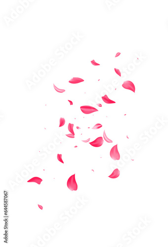 Red Floral Summer Vector White Background. Japan