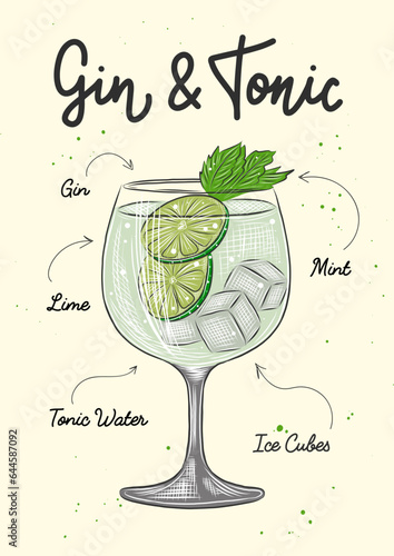 Vector engraved style Gin and Tonic cocktail illustration for posters, decoration, logo, menu and print. Hand drawn sketch with lettering and recipe, beverage ingredients. Detailed colorful drawing.
