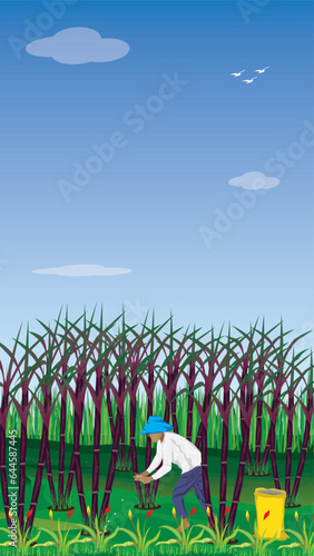 agriculturist work in sugar cane garden vector design