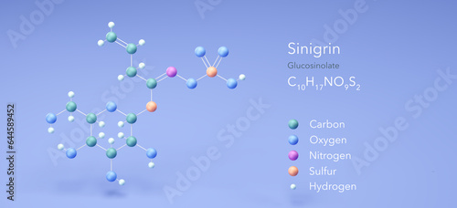 sinigrin molecule, molecular structures, allyl glucosinolate, 3d model, Structural Chemical Formula and Atoms with Color Coding photo