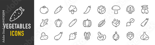 Vegetables web icons in line style. Tomato, artichoke, potato, paprika, corn, carrot, beans, pumpkin, collection. Vector illustration.
