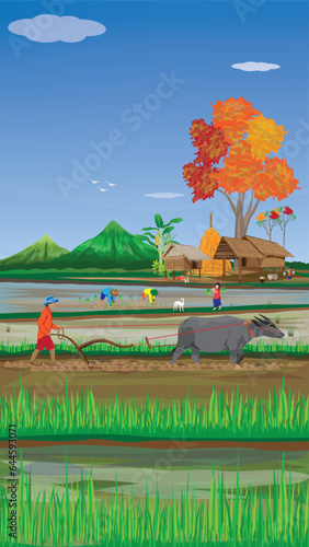 farmer transplant rice seeding in paddy field vector design